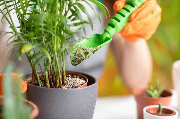 Les Tendances en Marketing Automation pour 2024